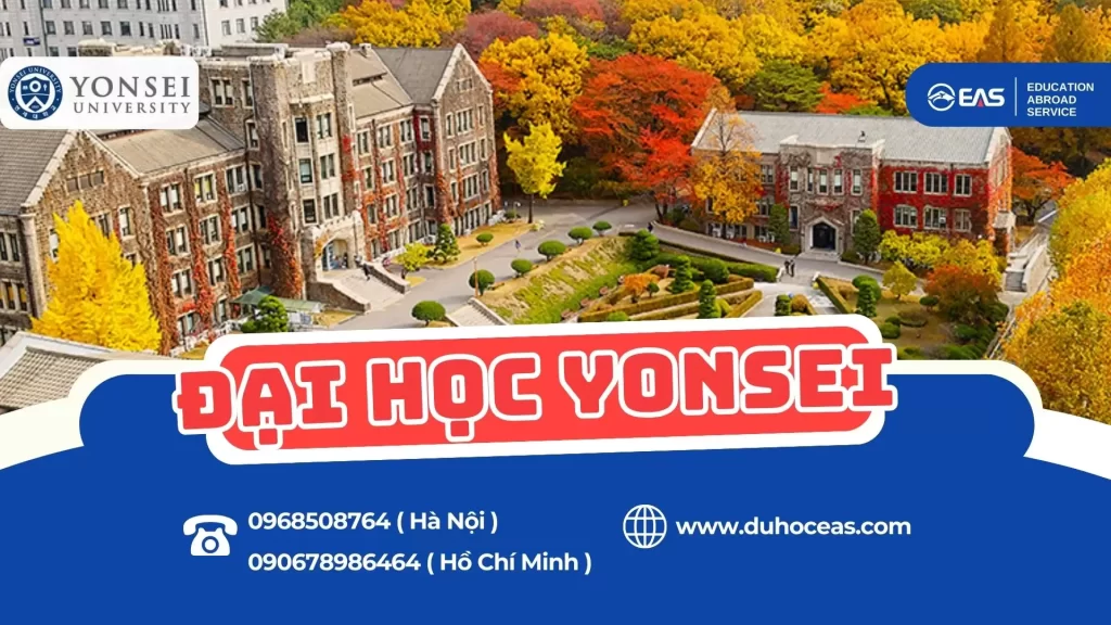 Chinh phục Yonsei – Top SKY, giấc mơ của hàng nghìn du học sinh