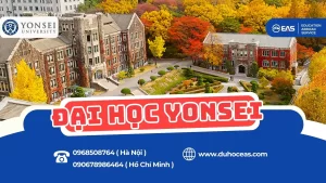 Chinh phục Yonsei – Top SKY, giấc mơ của hàng nghìn du học sinh