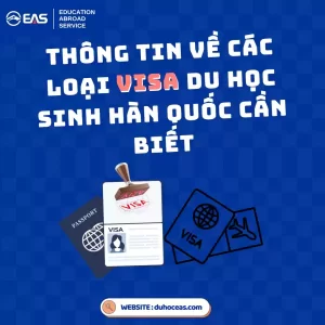 Thông tin các loại visa khi đi du học Hàn Quốc (Cập nhật 2025)