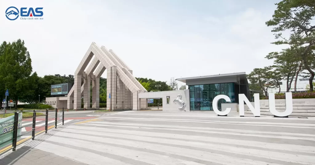 Trường Đại Học Quốc Gia Chungnam – Điểm Đến Học Thuật Hàng Đầu Tại Hàn Quốc