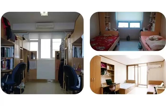 Khám Phá Đại Học Sogang – Ngôi Trường Danh Giá Giữa Lòng Seoul