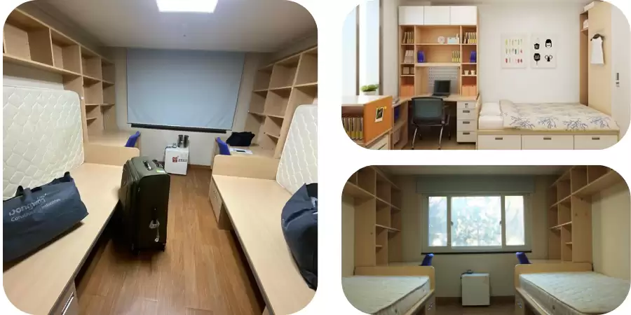 Khám Phá Đại Học Yonsei: Niềm Tự Hào Giáo Dục Hàn Quốc