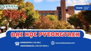 Đại học Pyeongtaek – Cánh cửa hội nhập quốc tế dành cho sinh viên Việt Nam