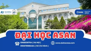 ĐẠI HỌC ASAN – NGÔI TRƯỜNG ĐÀO TẠO TOÀN DIỆN VỀ SỨC KHỎE, TÂM LÝ VÀ PHẬT HỌC ỨNG DỤNG TẠI HÀN QUỐC