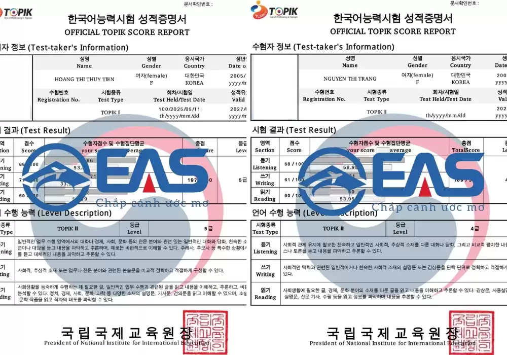 TOPIK Là Gì? Lợi Ích Và Cách Luyện Thi Cùng EAS Group