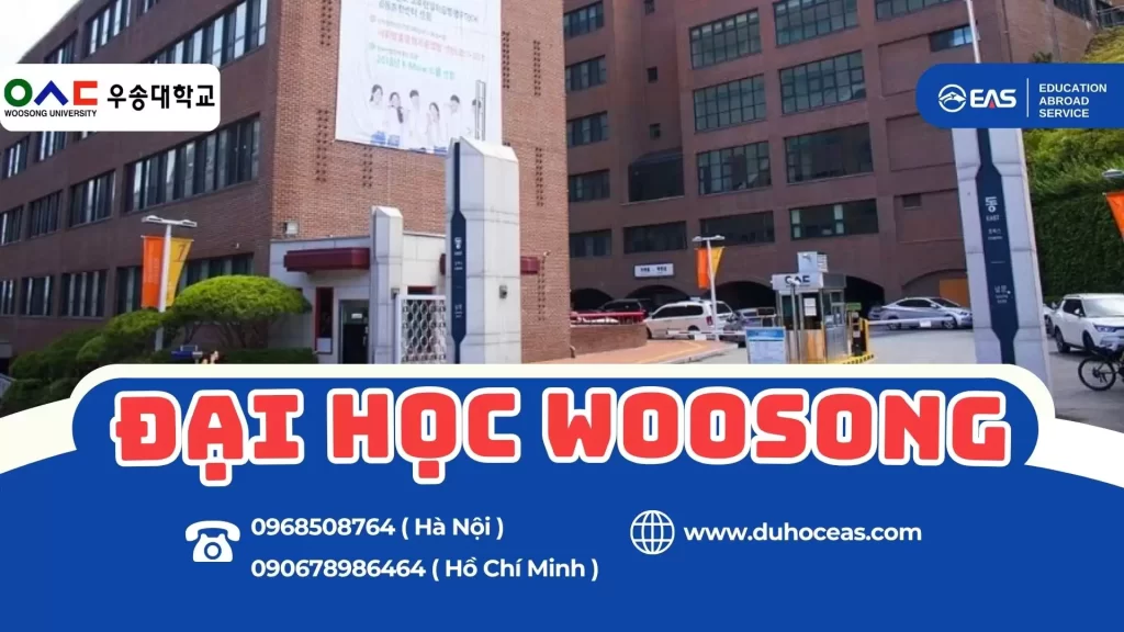 Trường Đại Học Woosong – Ngôi Trường Quốc Tế Hàng Đầu Với Nhiều Chương Trình Giảng Dạy Bằng Tiếng Anh Tại Hàn Quốc