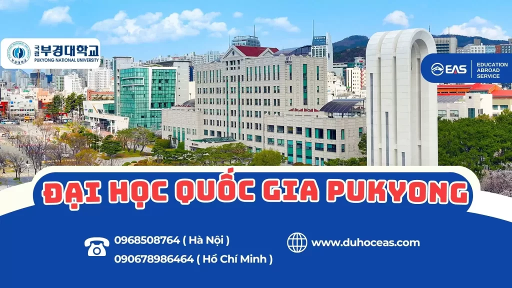 Đại học Hansung – Ngôi trường hiện đại với chương trình đào tạo gắn liền thực tiễn tại Seoul