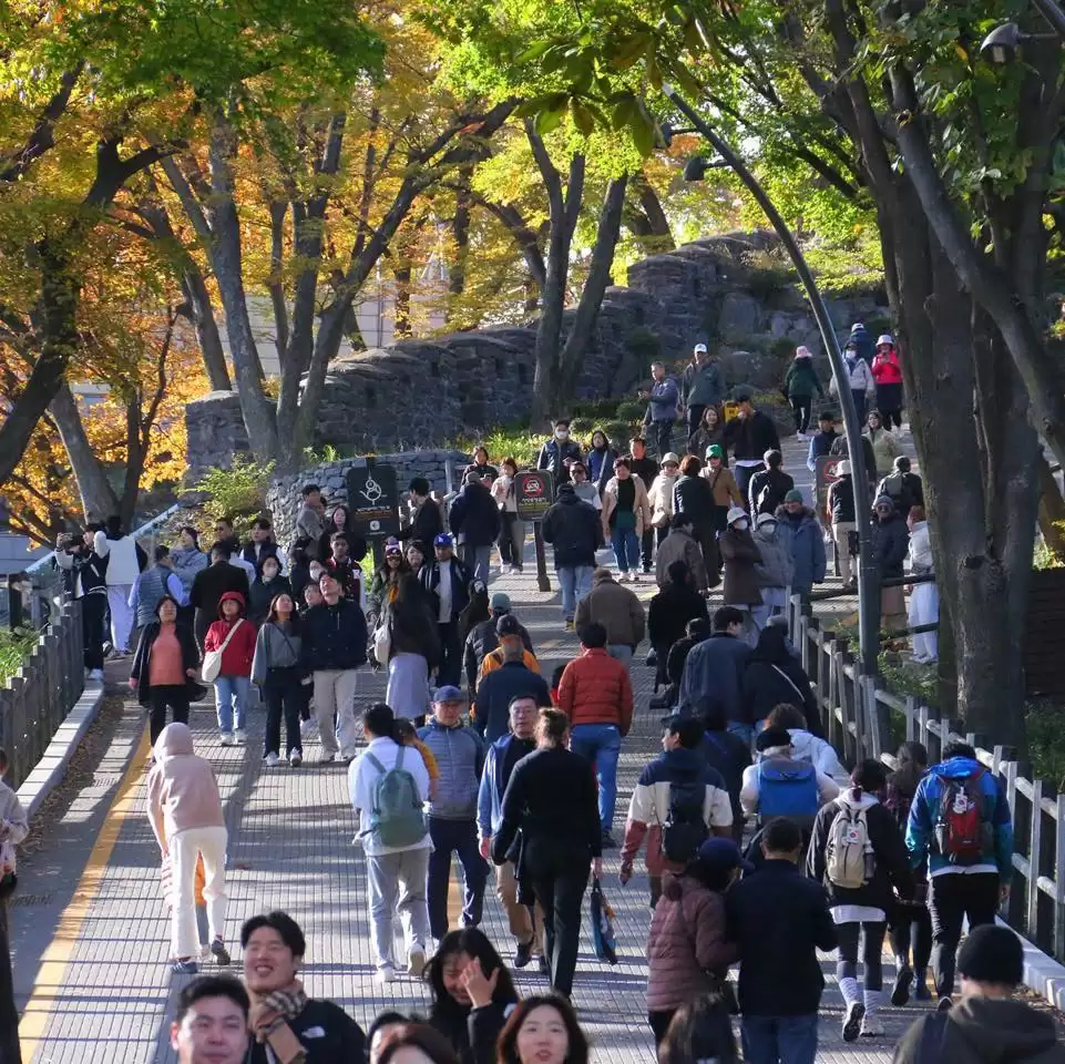 Đại Học Hàn Quốc: Khám Phá Các Trường Học Phí Rẻ, Dễ Xin Việc