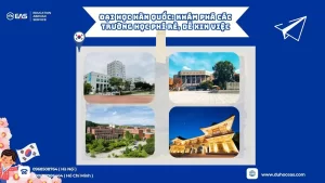 Đại Học Hàn Quốc: Khám Phá Các Trường Học Phí Rẻ, Dễ Xin Việc