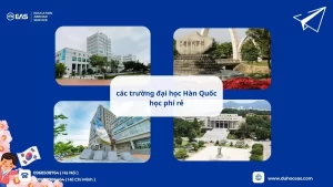 Các Trường Đại Học Hàn Quốc Học Phí Rẻ – Cơ Hội Việc Làm Cao