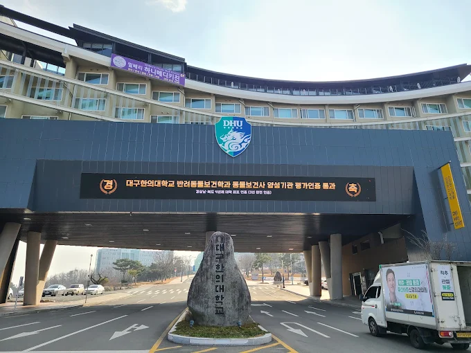 TOP Các Trường Đại Học Hàn Quốc Đào Tạo Làm Đẹp, Makeup, Thẩm Mỹ Hàng Đầu