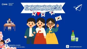 Bật Mí Những Văn Hóa Ngầm Ở Các Trường Đại Học Hàn Quốc Khiến Du Học Sinh “Sốc Văn Hóa”