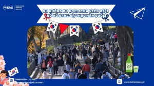Xu Hướng Du Học: Sinh Viên Việt Đổ Xô Sang Đại Học Hàn Quốc